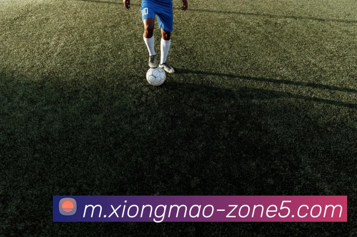 奖项证书